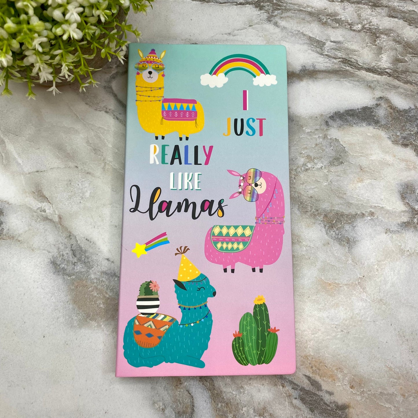 Sticky Note Booklet Set - Llamas